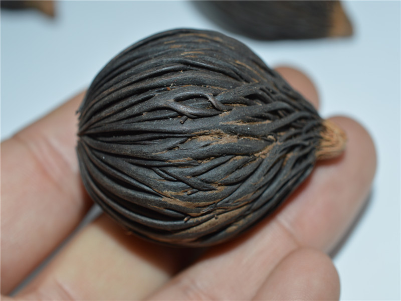 精品大千丝菩提籽原籽 天然菩提子 千丝菩提 一手货源批发 佛珠