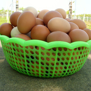 土鸡蛋 纯绿色纯天然养殖