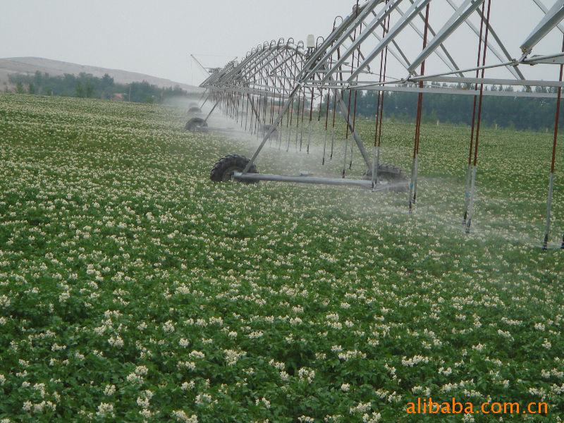 廠家直供農業噴灌設備dyp指針式噴灌機 噴霧機