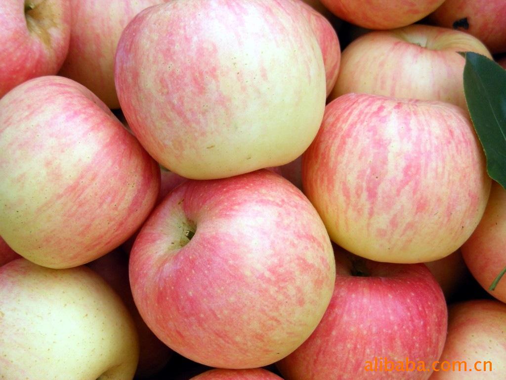 山东烟台乔纳金红苹果